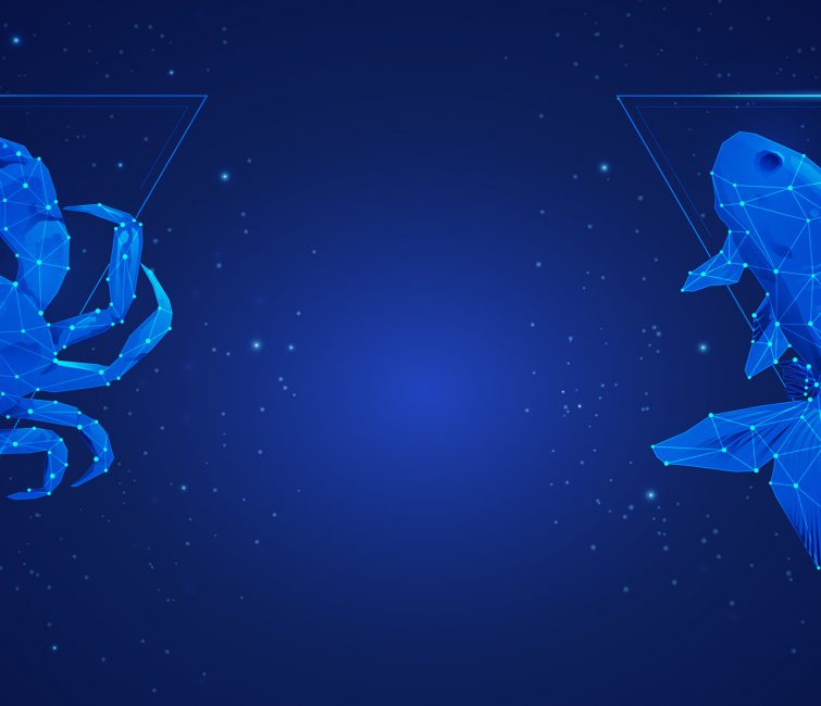 Cancer And Pisces Zodiac Compatibility