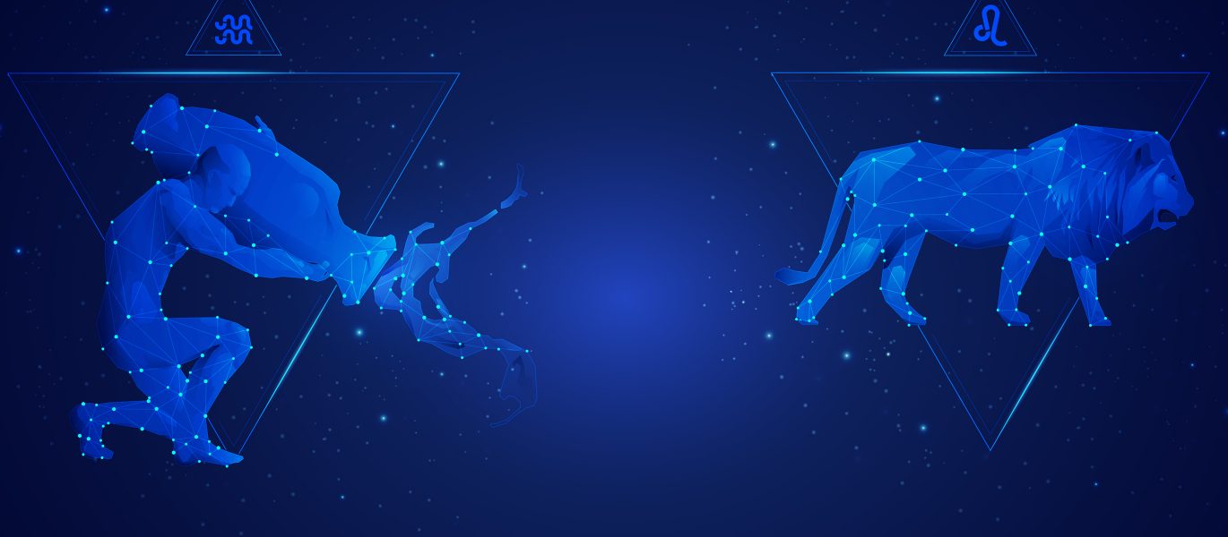 Aquarius and Leo Zodiac Compatibility