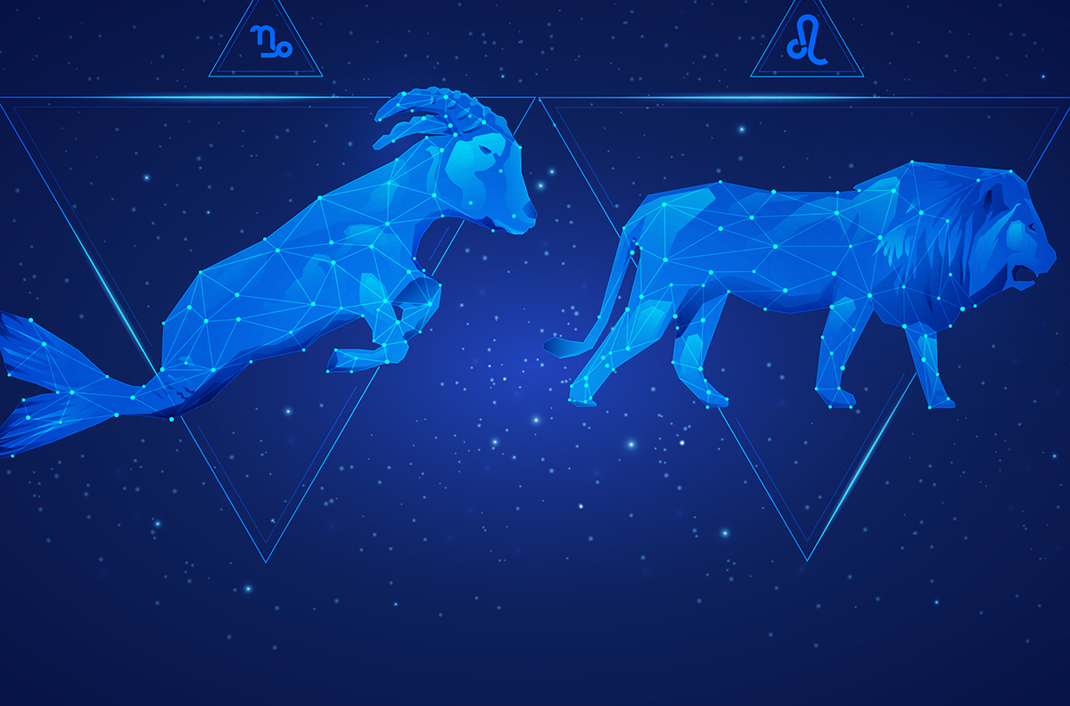 Capricorn and Leo Zodiac Compatibility